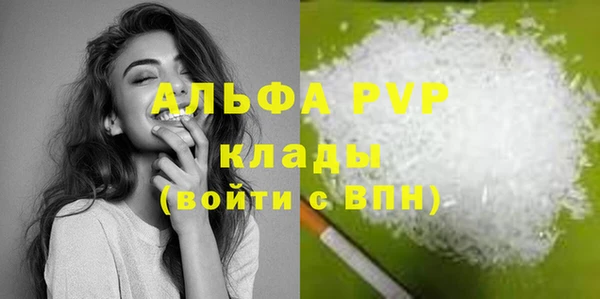 СК Вязьма