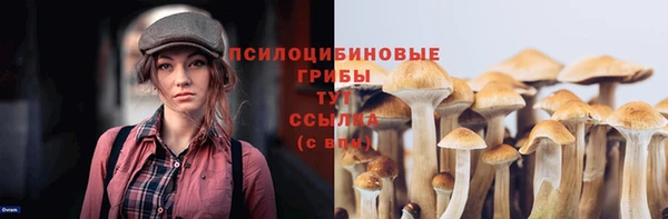 СК Вязьма