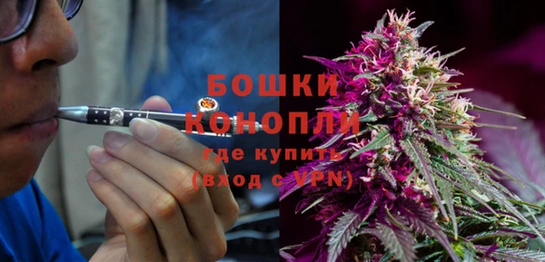 СК Вязьма