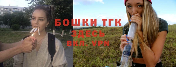 СК Вязьма
