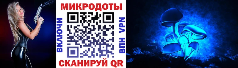 Псилоцибиновые грибы Psilocybine cubensis  Купить  Кувшиново 